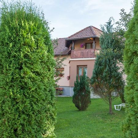 Apartment Ivan & Iva Gornji Vaganac エクステリア 写真