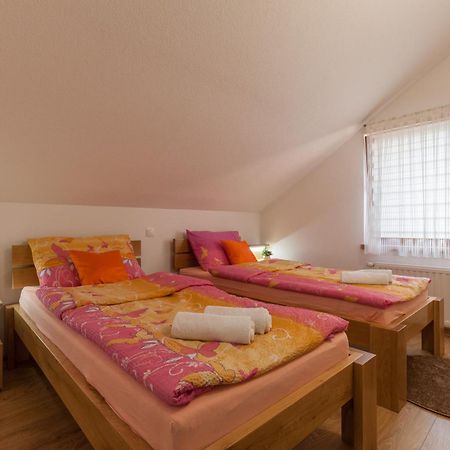 Apartment Ivan & Iva Gornji Vaganac エクステリア 写真