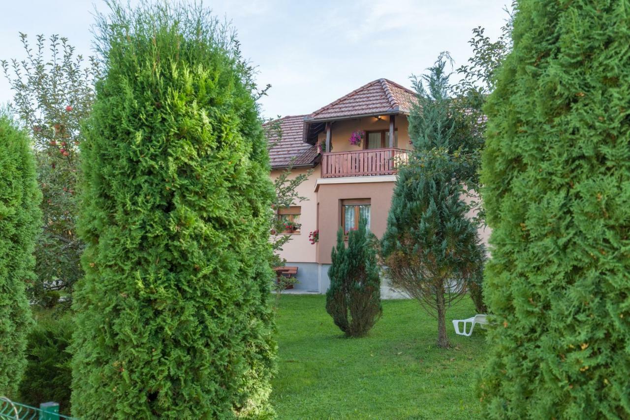 Apartment Ivan & Iva Gornji Vaganac エクステリア 写真