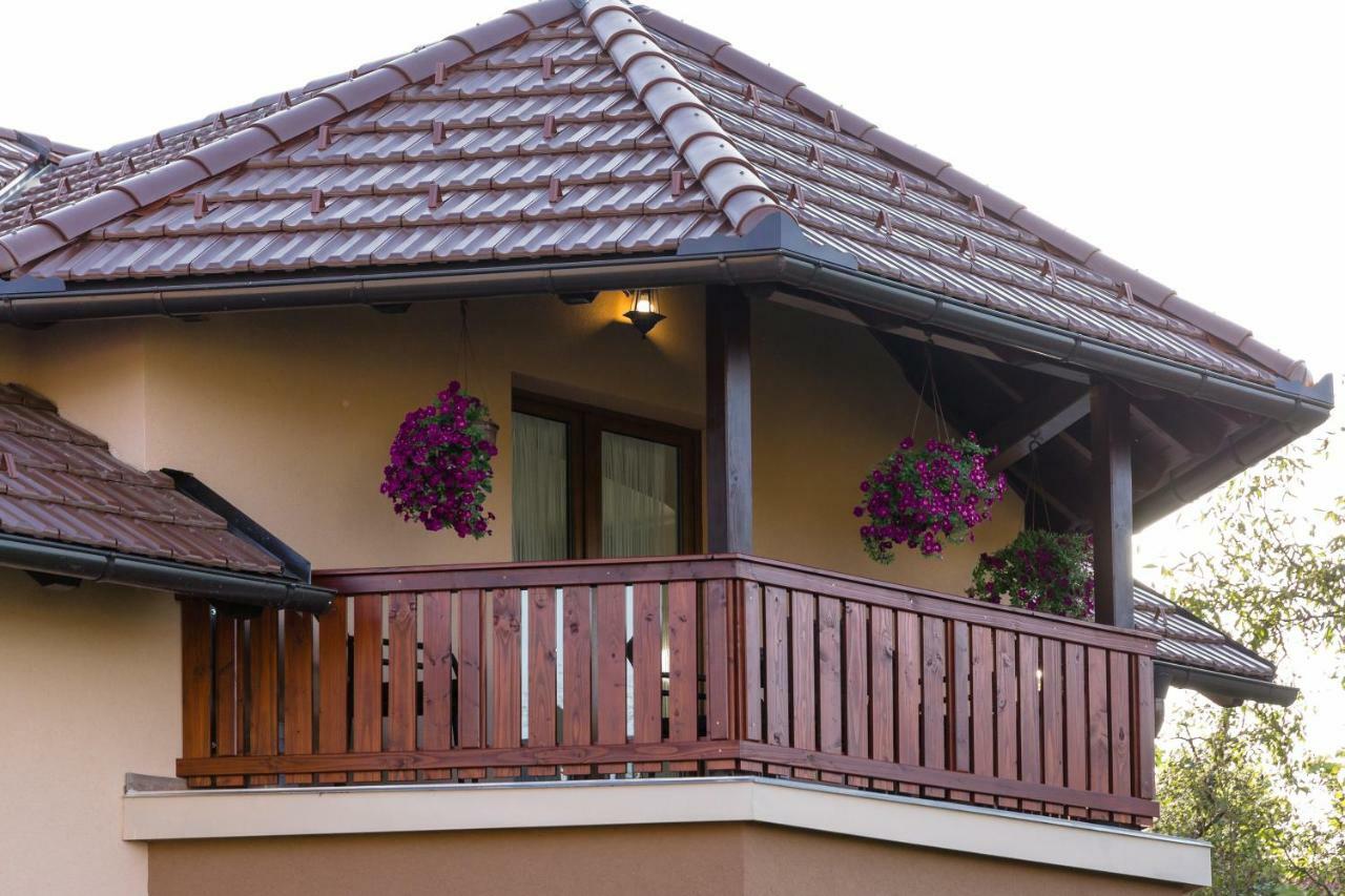 Apartment Ivan & Iva Gornji Vaganac エクステリア 写真